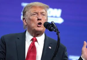 Гуглишь Трампа — жди скачка на бирже: как интернет-внимание двигает Уолл-стрит