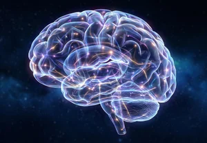 Либералы, хватит гордиться: настоящая защита от политических крайностей совсем не там, где вы думаете