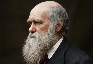 Darwin, жабьи песни и наше чувство прекрасного: есть ли разница?