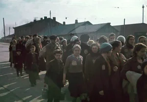 Шепот времени: как книги о Холокосте и войне становятся зеркалом для наших судеб