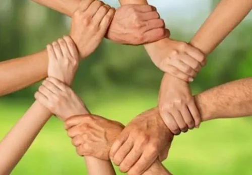 Сложная алхимия дружбы: почему мы ищем друг друга — даже когда теряем связь