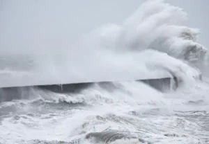Тайная жизнь нашей психики: Как мы выживаем в бурях перемен