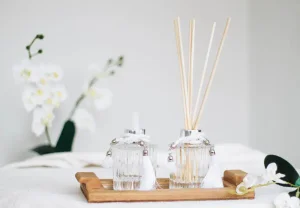 Вторая кожа: тайная жизнь запаха и его власть над нашей судьбой