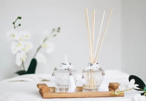 Вторая кожа: тайная жизнь запаха и его власть над нашей судьбой