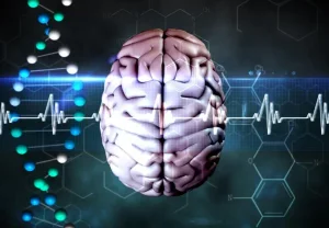 Мозг под защитой: тайная алхимия памяти, или почему самые умные тоже забывают