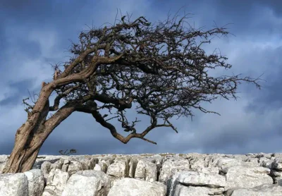 Псевдодуховность: почему мантры и медитации не спасут от внутренней лжи