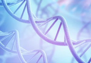 От кого унаследовал — тот и виноват: как гены родителей дерутся за наше здоровье