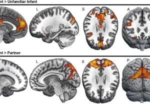 Мозг молодых отцов: ремонт без гарантий и странная любовь к своему потомству