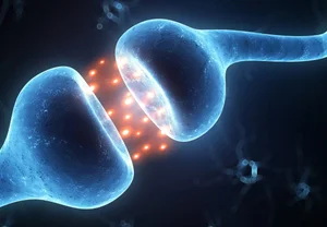 Толкапоне против алкоголизма: "запретный плод" для нейронов?