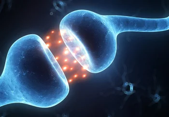 Толкапоне против алкоголизма: "запретный плод" для нейронов?