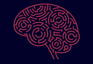 Большие мозги — большие проблемы: почему природа решила, что нам хватит и этого