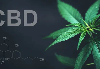 Бьющееся сердце науки и каннабидиол: мыши, стресс, кокаин и одна зелёная надежда