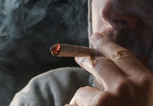 Хронические любители зелёного: почему мозг у поклонников каннабиса буксует