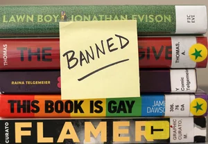 Почему у всех руки чешутся что-нибудь запретить: американское исследование о цензуре детских книг