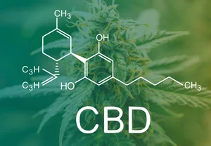 CBD против Альцгеймера: миф, превращающийся в реальность?