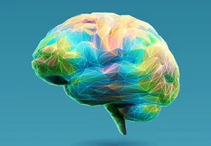 В мозгу у всех радуга одна: почему учёные разочарованы своими открытиями о восприятии цвета