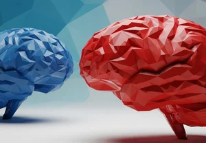 Мозги на жестком диске: почему политические взгляды плохо объясняют упрямство