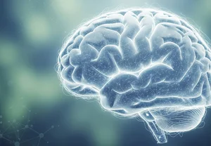 Гены, мозг и IQ: почему плотность мозговых проводов важнее их изоляции