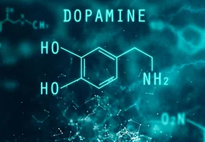 Эстроген и дофамин: как гормоны учат наш мозг ждать награды (и разочаровываться)