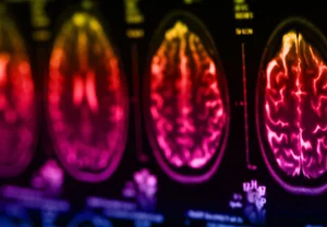 Бах, микросхемы и предсказания: как мозг превращает музыку в расчёты и ошибки