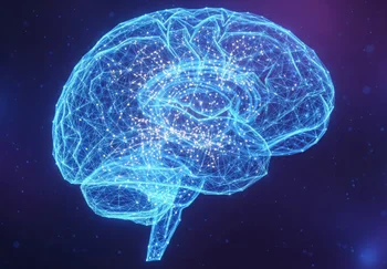 Не уникальность, а стандартность: почему умы гениев работают как у всех — только лучше