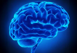 Когда наш мозг нарезает болтовню на слова: невидимая работа над тем, чтобы речь не звучала как бесконечное бормотание