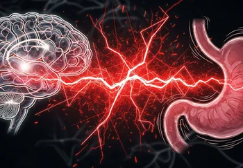 Салоедство от головы до хвоста: как жирная диета ломает связь между мозгом и кишечником