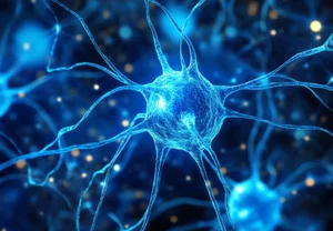 Одни едят на полшишечки — другие стареют: как ограничение калорий влияет на мозг обезьян (и, возможно, на наш)