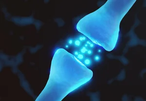 d-Амфетамин против здравого смысла: как мозг крыс забыл слово "нет"