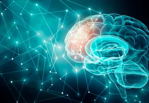 Психология и нейронаука 2025: открытия года, которые перевернули мозги (буквально)