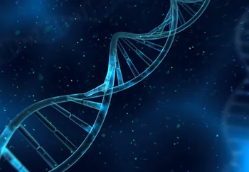 Генно-модифицированные стволовые клетки: игры с мозгом после инсульта