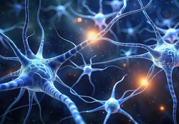 Мозг выбирает чипсы за вас: как реклама дергает нас за невидимые ниточки