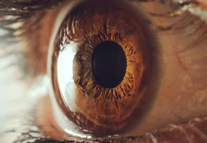 Когда взгляд — не просто взгляд: как по глазам вычислить пилота в кабине