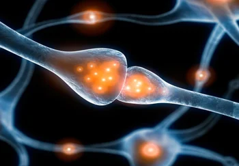 Память не зря дырявая: зачем мозгу мусор вроде амилоидов?