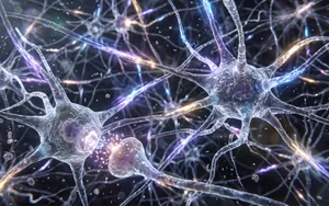 LSD ускоряет мозг, усложняет его работу — и, возможно, музыка тут не помощник