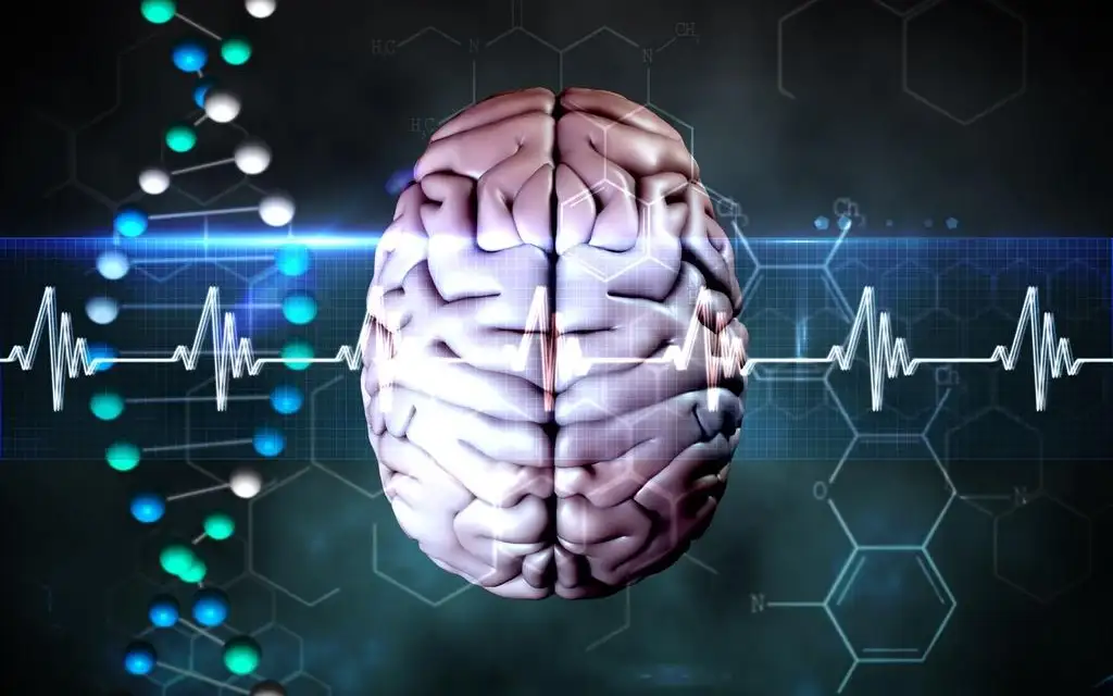Мозг под защитой: тайная алхимия памяти, или почему самые умные тоже забывают