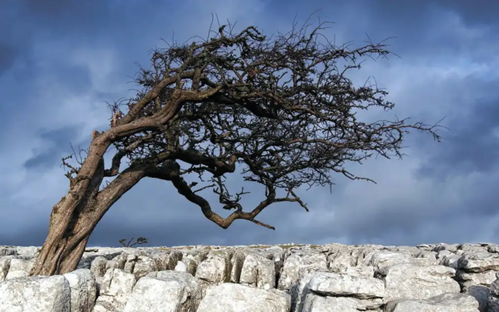 Псевдодуховность: почему мантры и медитации не спасут от внутренней лжи