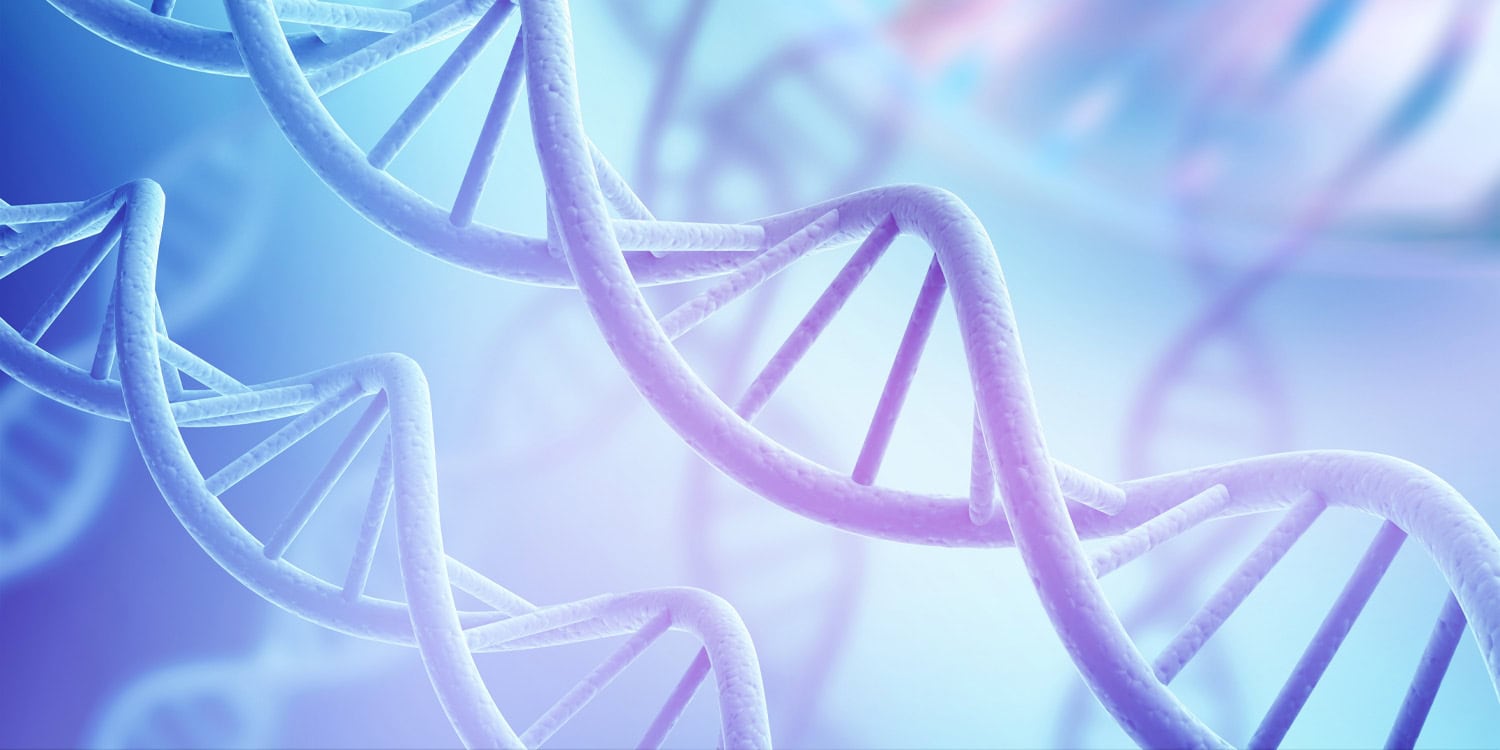 От кого унаследовал — тот и виноват: как гены родителей дерутся за наше здоровье