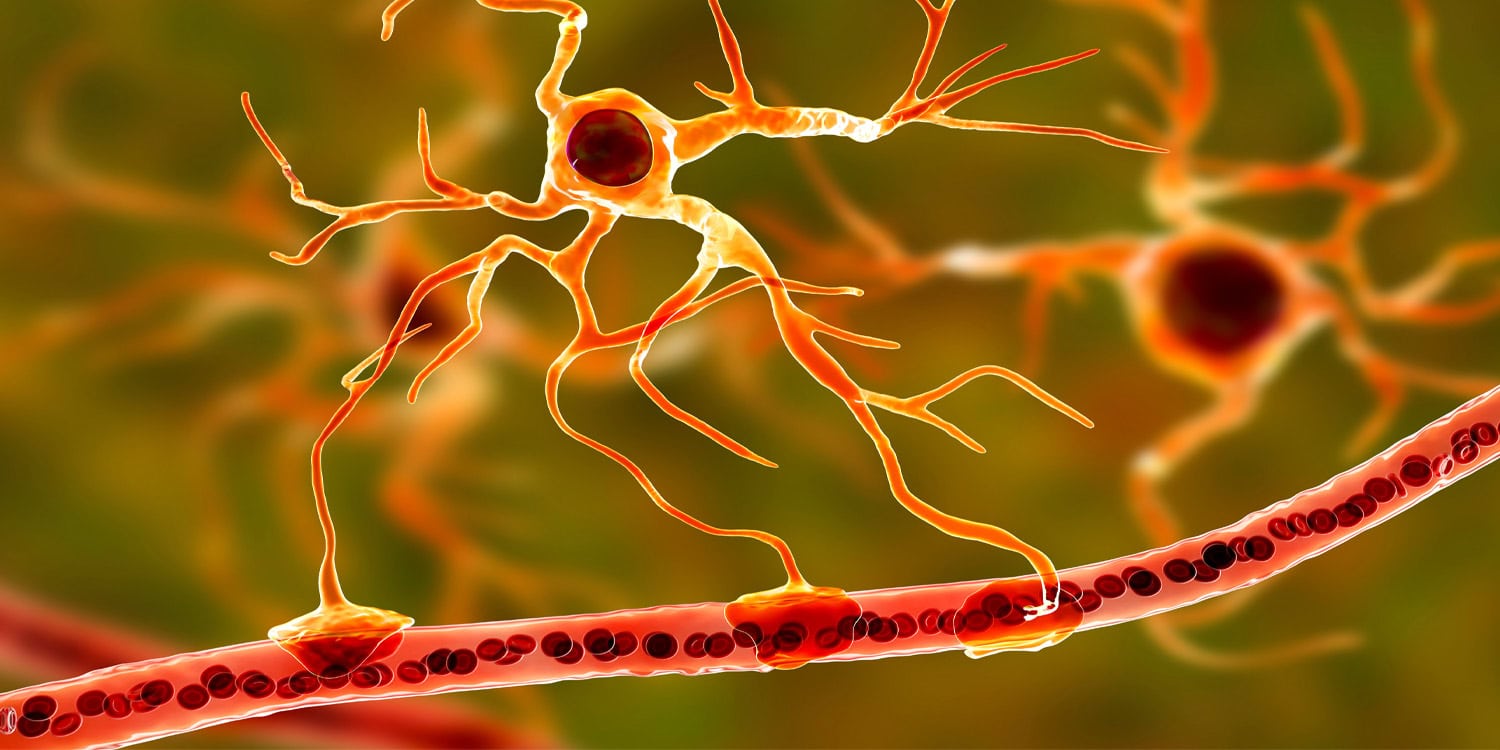 Мозг против пластика: как микропластик пробирается сквозь защиту и атакует нервы