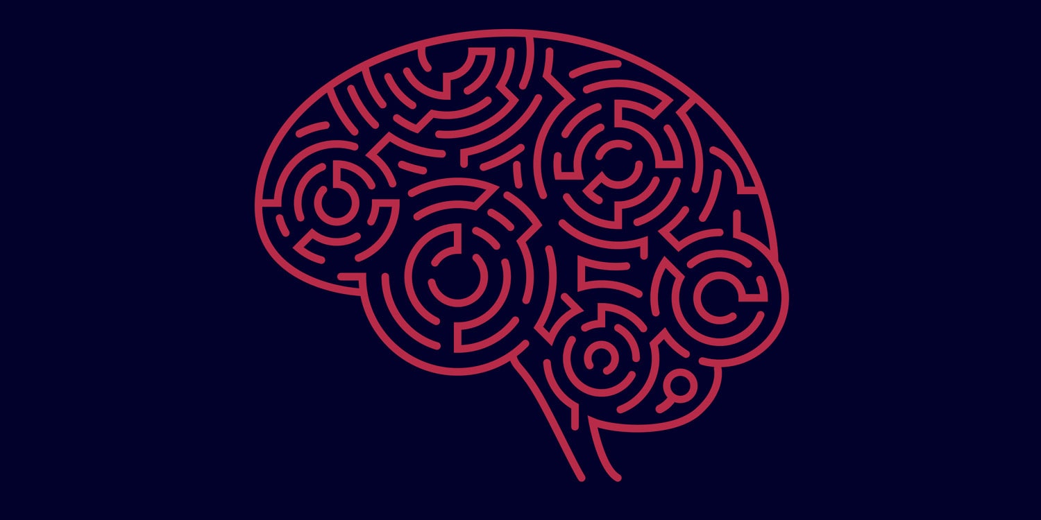 Большие мозги — большие проблемы: почему природа решила, что нам хватит и этого