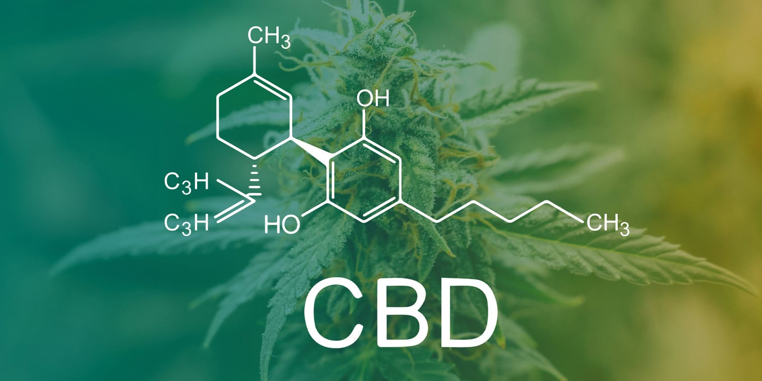 CBD против Альцгеймера: миф, превращающийся в реальность?