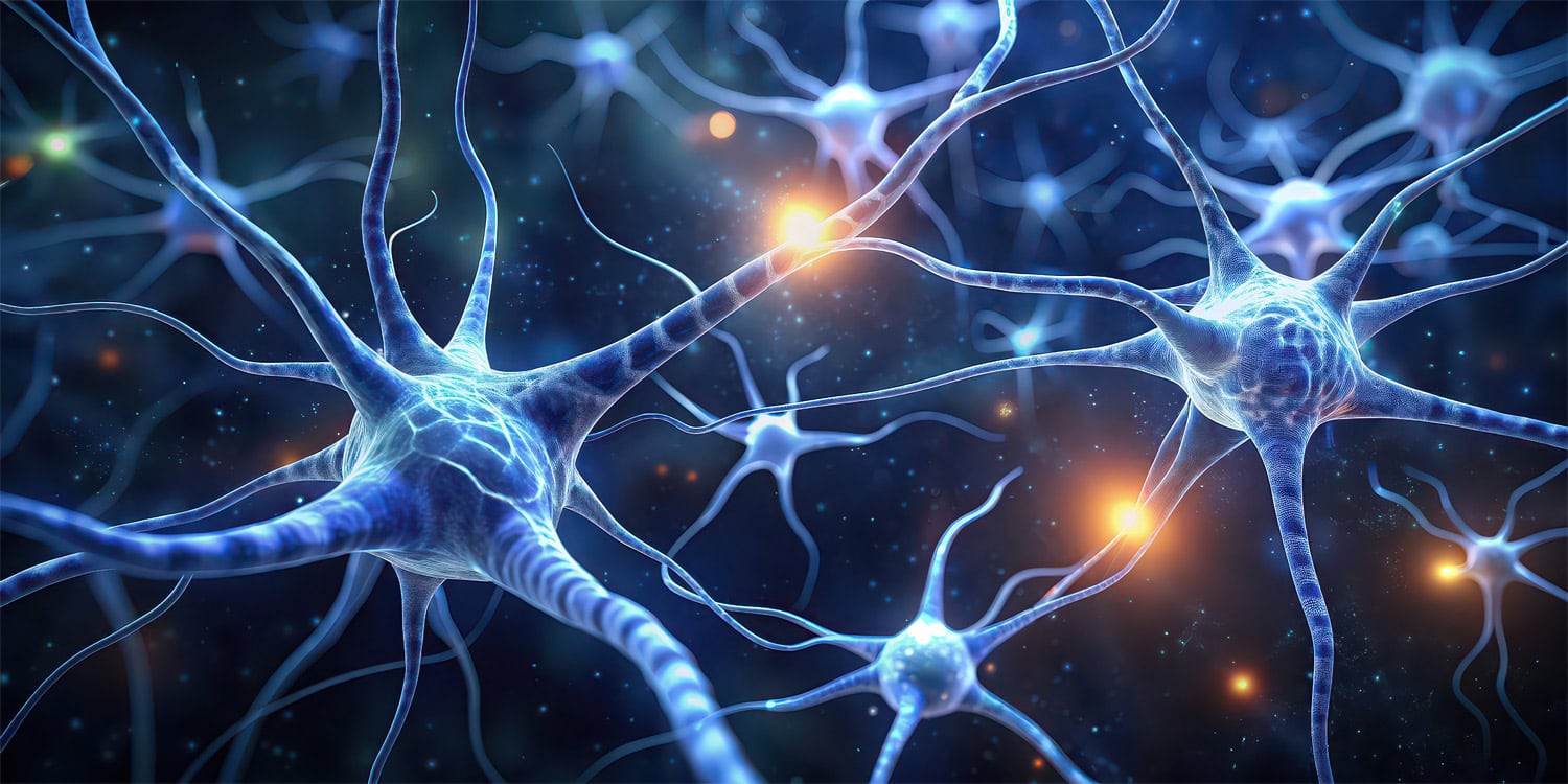 Паранойя мышиных масштабов: как мозг учится не бояться надумываемых угроз