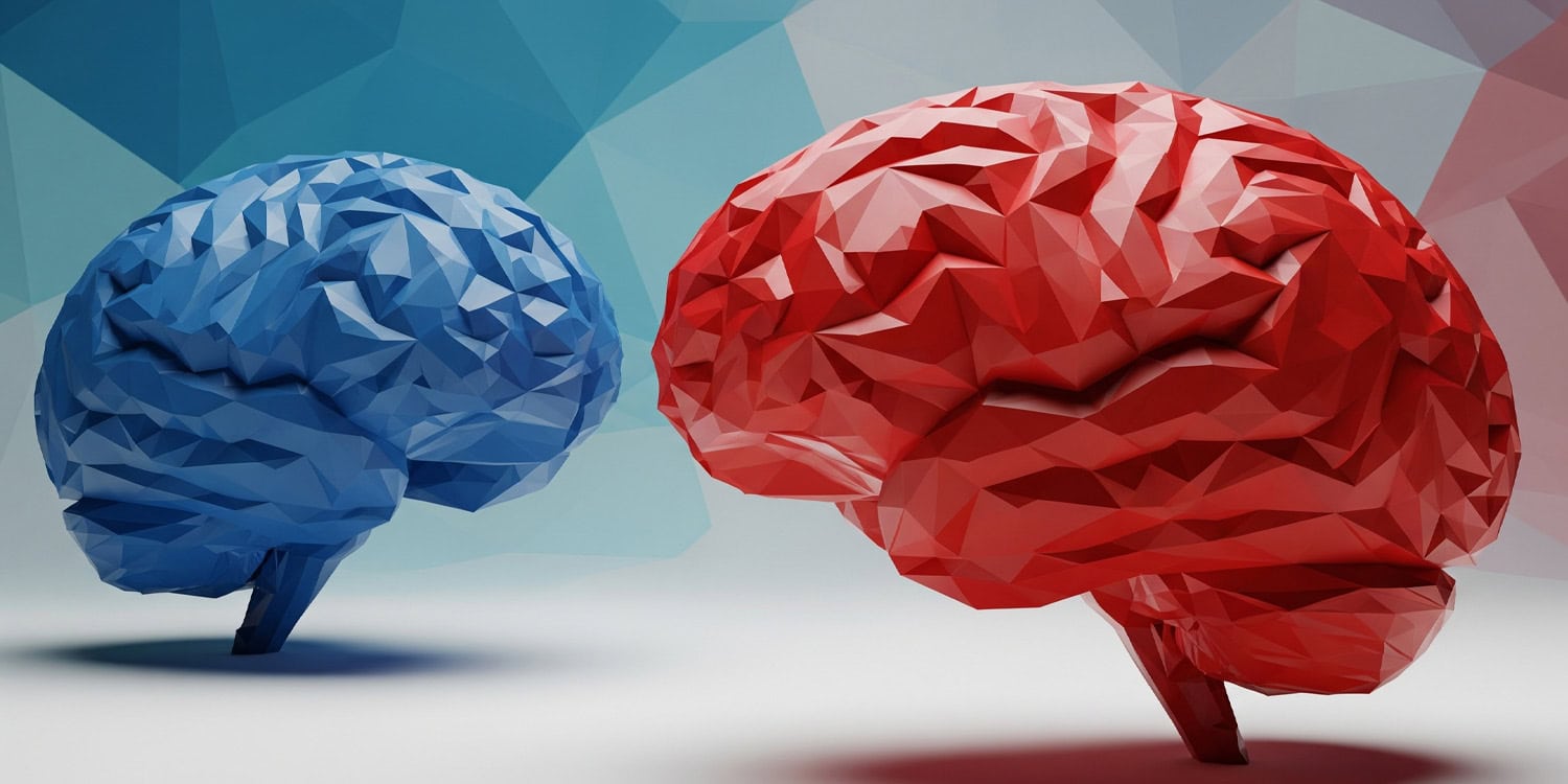 Мозги на жестком диске: почему политические взгляды плохо объясняют упрямство