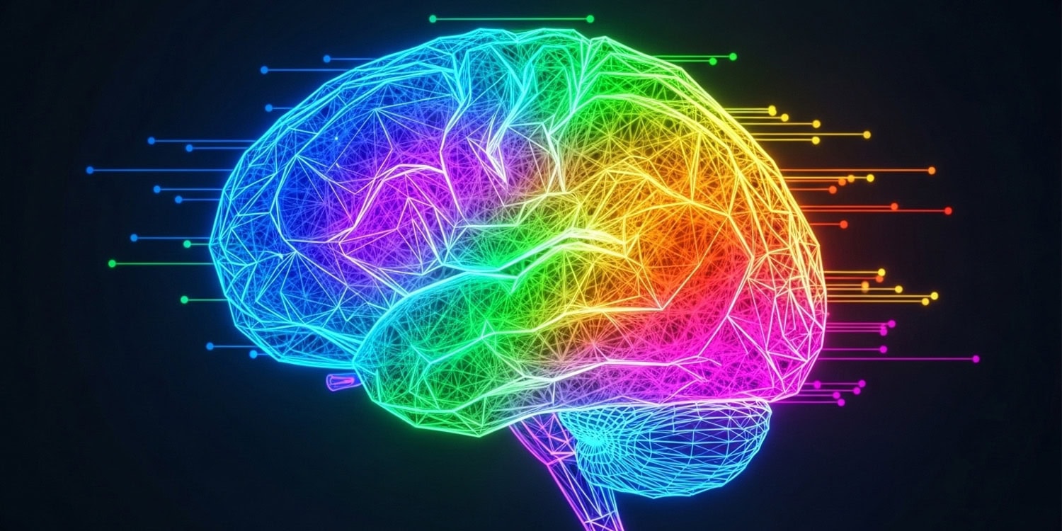 Почему умные лучше ориентируются не только в пространстве, но и в жизни