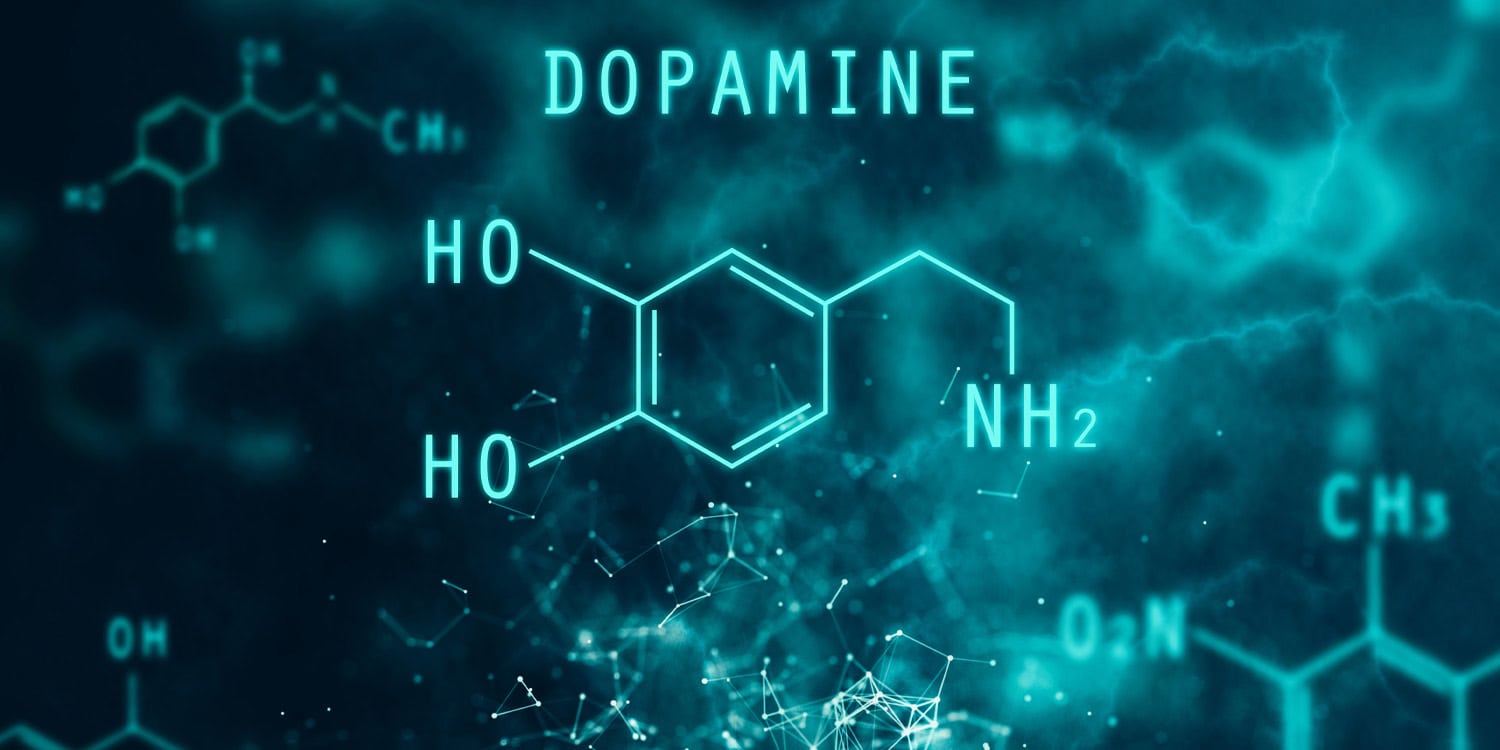 Эстроген и дофамин: как гормоны учат наш мозг ждать награды (и разочаровываться)