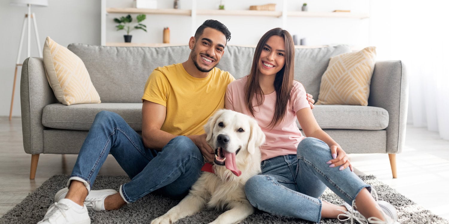 Улыбайся, пока шерсть не осыпется: как наши питомцы делают нас слаще сахарной ваты (и даже в их отсутствие)