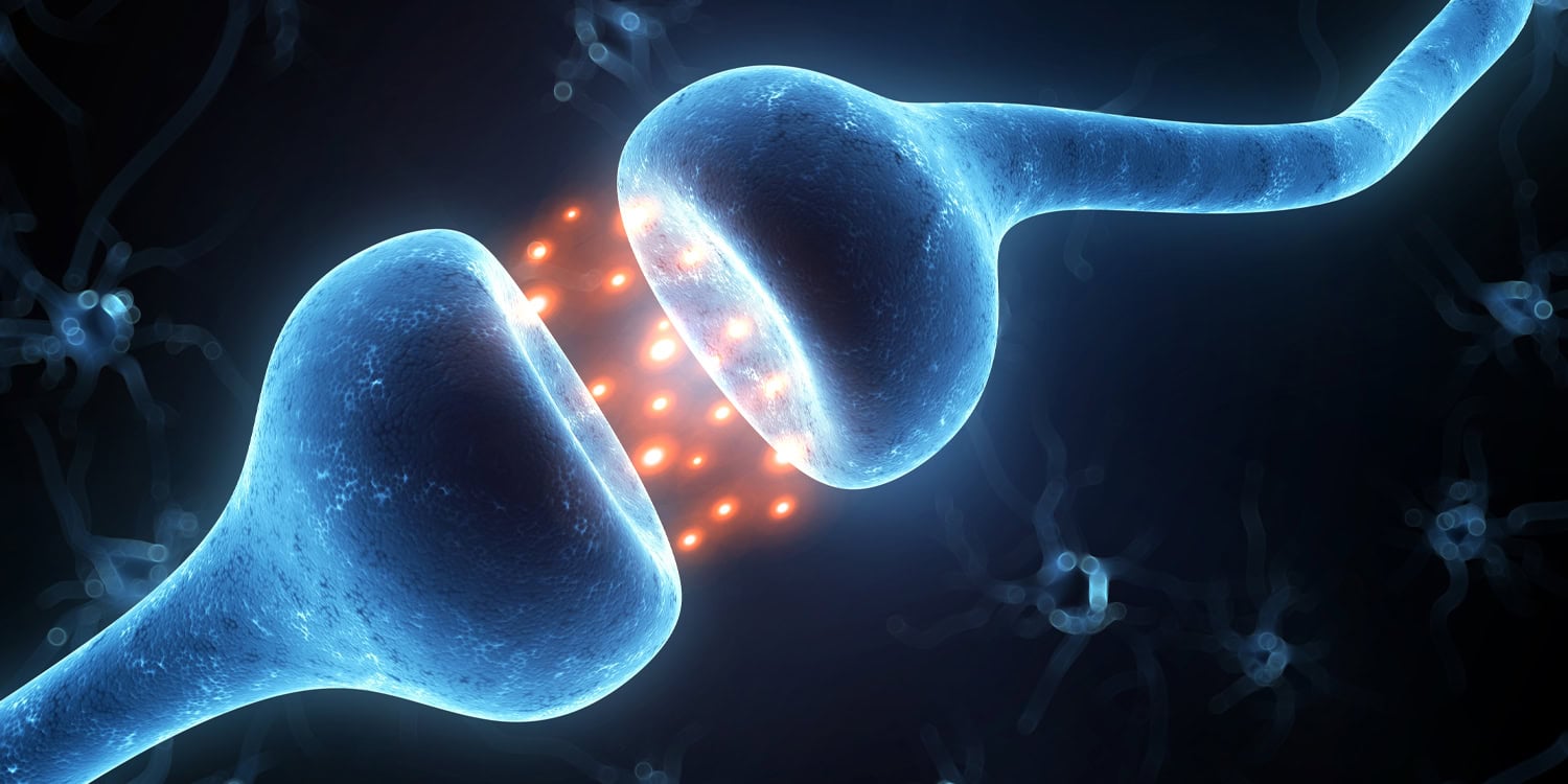 Почему первый раз — всегда особенный: мозг мух раскрывает тайны скуки и зависимости