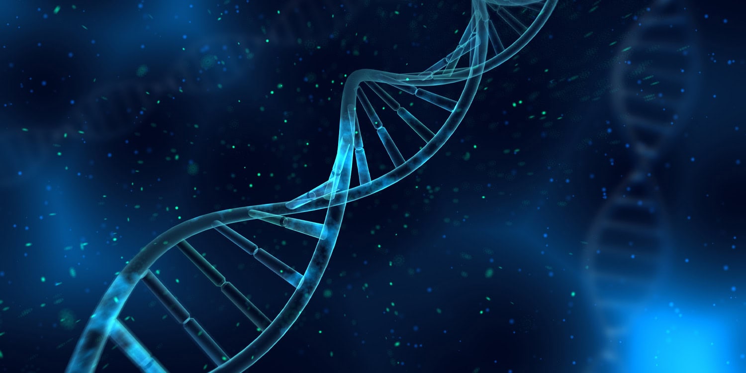 Генно-модифицированные стволовые клетки: игры с мозгом после инсульта