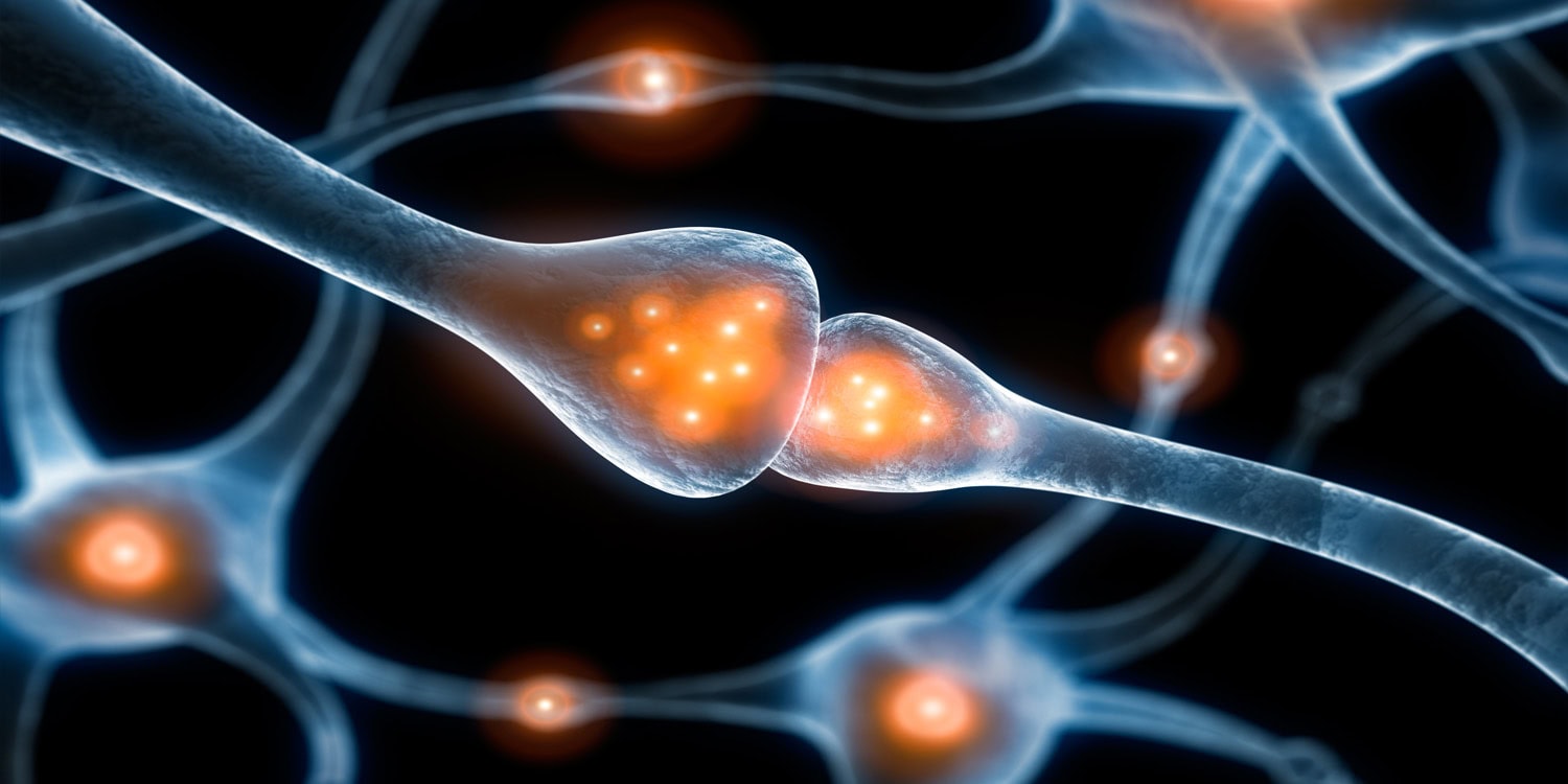 Память не зря дырявая: зачем мозгу мусор вроде амилоидов?