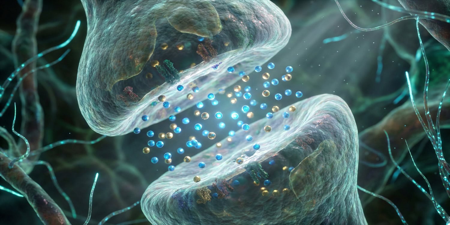 Айяуаска против страха: как крысы забывали о травме и что из этого выйдет для людей